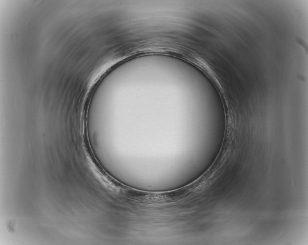 X0000101410795200807071005