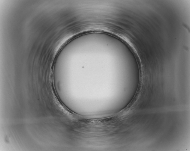 X0000101410799200807071005