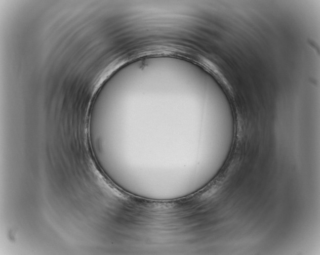 X0000101410802200807071005