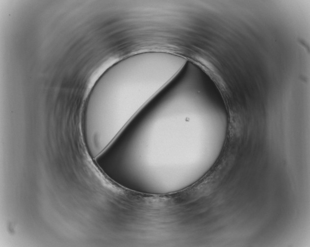 X0000101410804200807071005