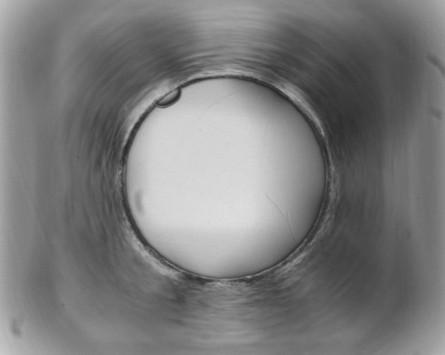 X0000101410805200807071005