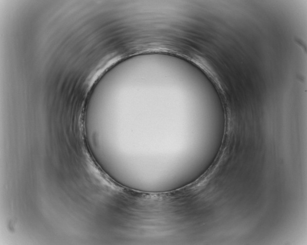 X0000101410806200807071005