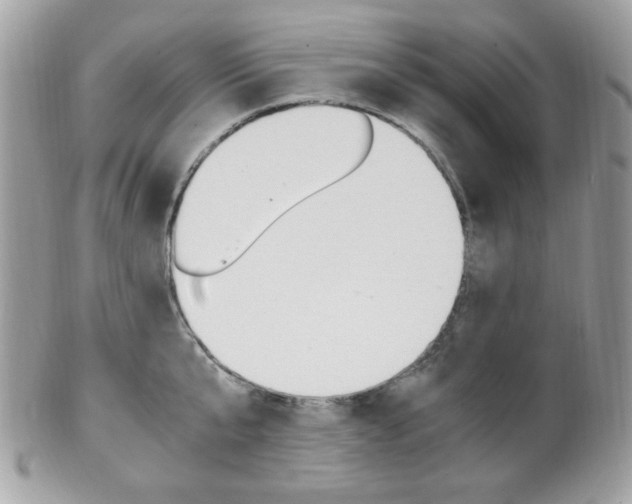 X0000101410807200807071005