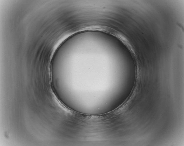 X0000101410808200807071005