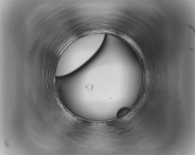 X0000101410809200807071005