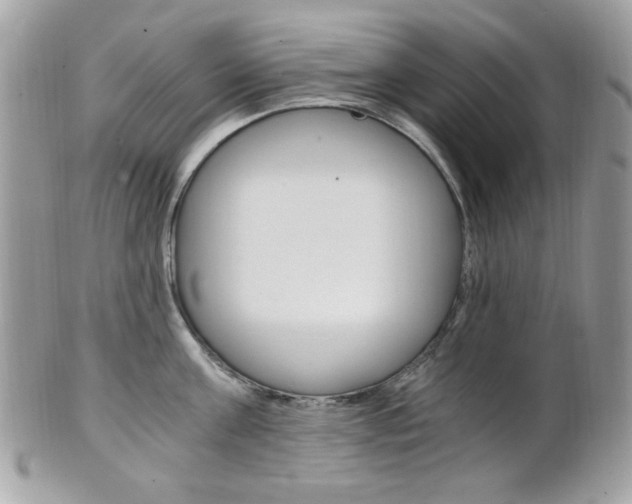 X0000101410811200807071005