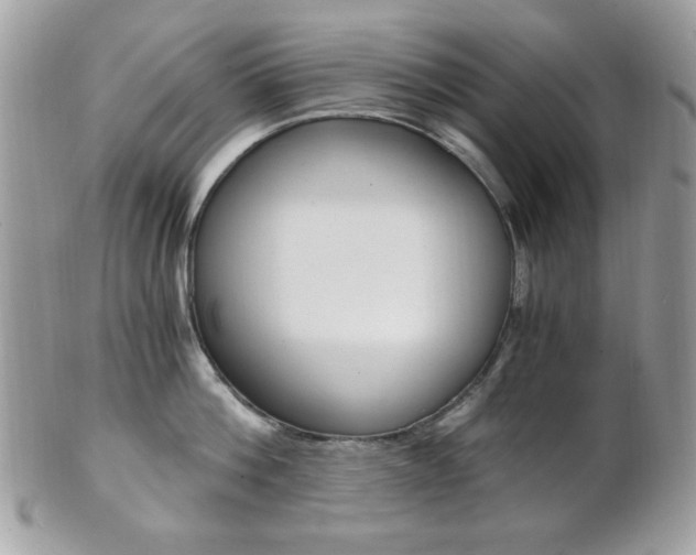 X0000101410812200807071005