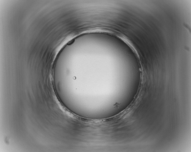 X0000101410813200807071005