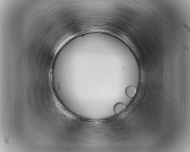 X0000101410814200807071005