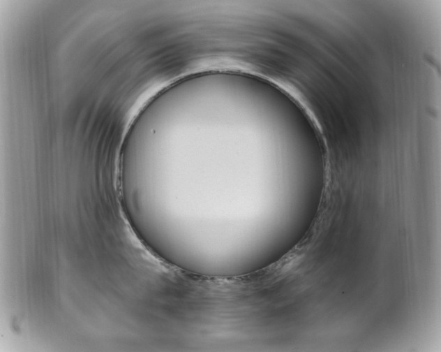 X0000101410815200807071005