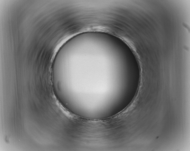X0000101410816200807071005