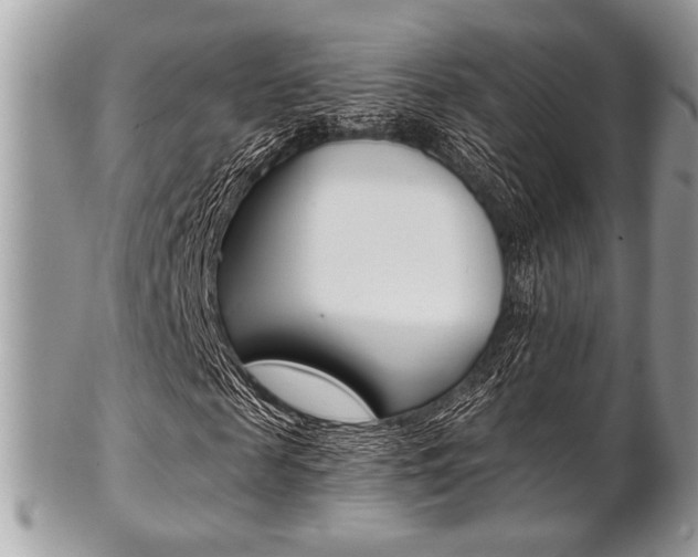X0000101410817200807071004