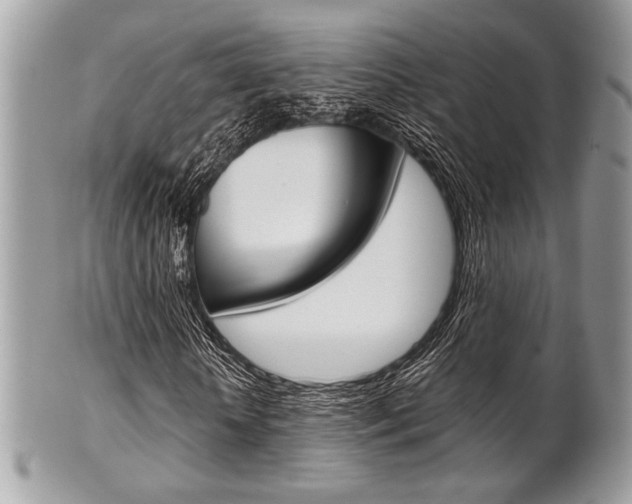 X0000101410818200807071004