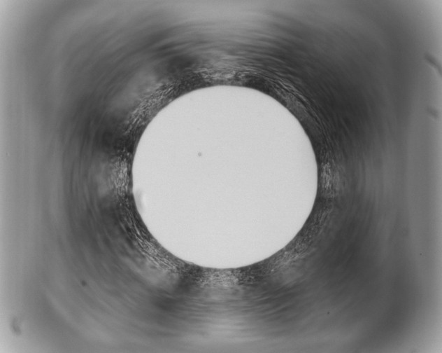 X0000101410820200807071004