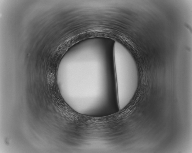X0000101410821200807071004