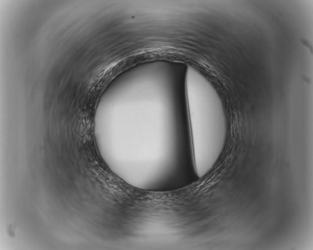 X0000101410822200807071004