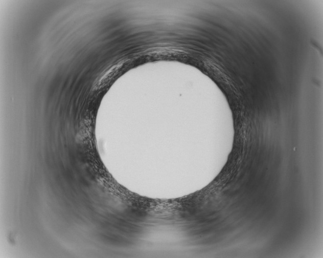 X0000101410824200807071004