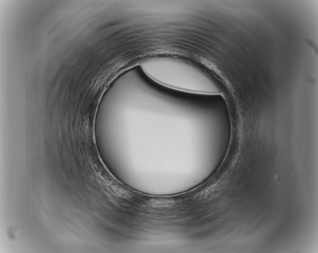 X0000101410825200807071004