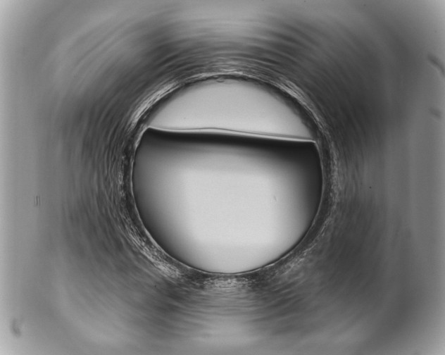 X0000101410826200807071004