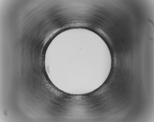 X0000101410828200807071004