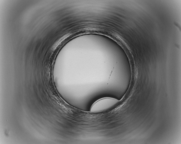 X0000101410829200807071004