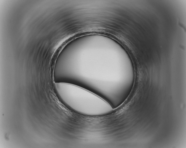X0000101410830200807071004