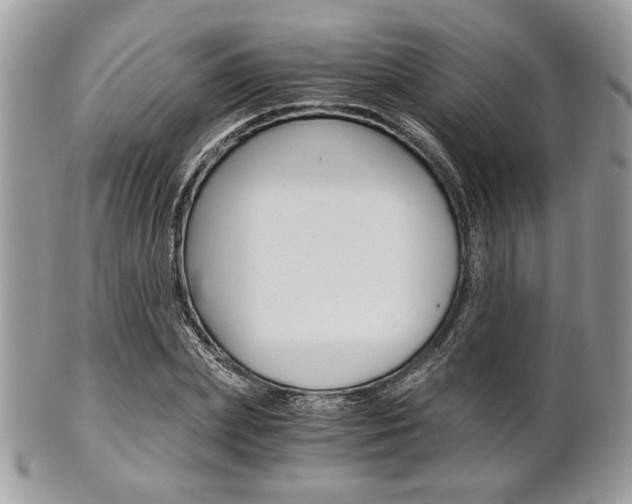 X0000101410831200807071004