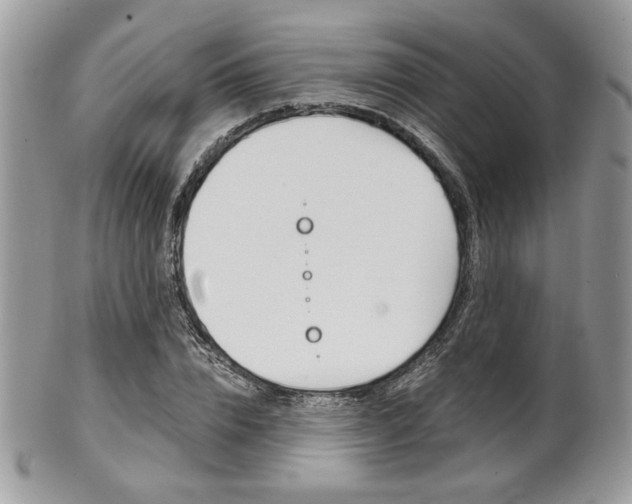 X0000101410832200807071004