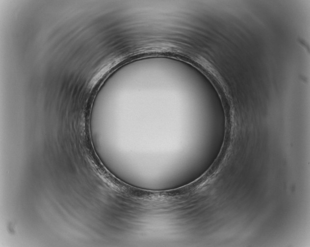 X0000101410834200807071004