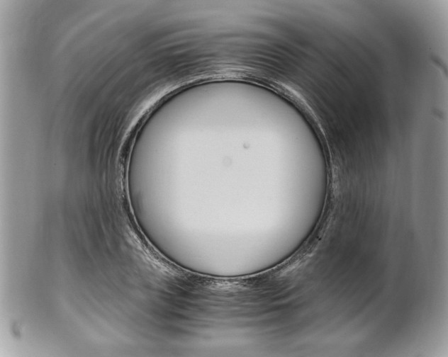 X0000101410835200807071004