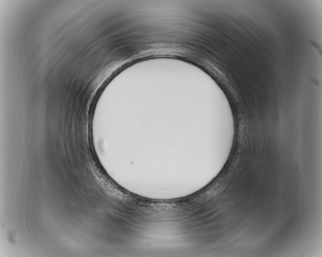 X0000101410836200807071004