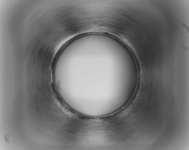 X0000101410838200807071005
