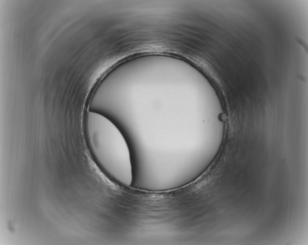 X0000101410839200807071005