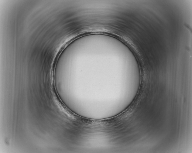 X0000101410840200807071005