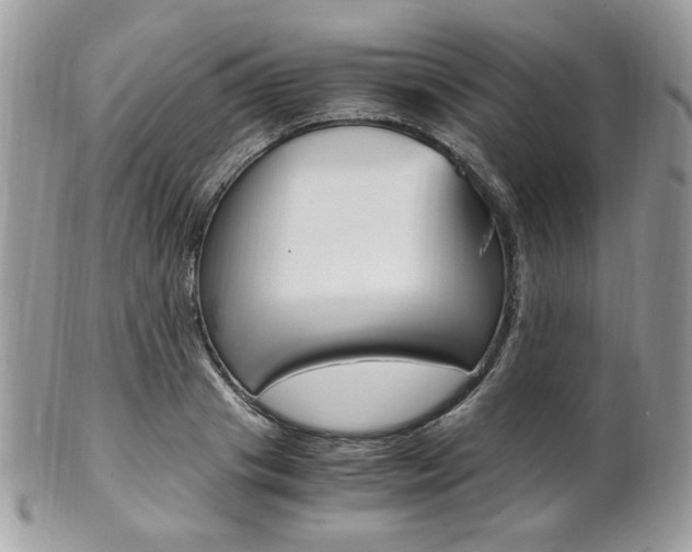 X0000101410841200807071005