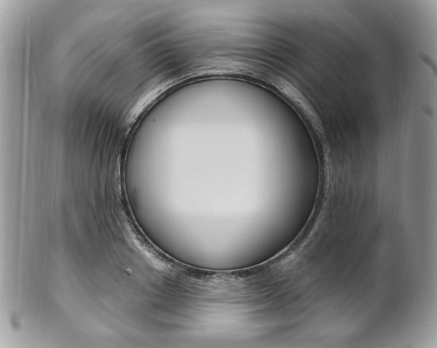 X0000101410842200807071005