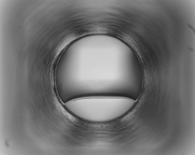 X0000101410843200807071005