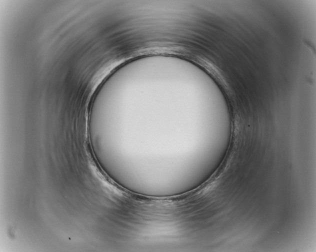 X0000101410844200807071005