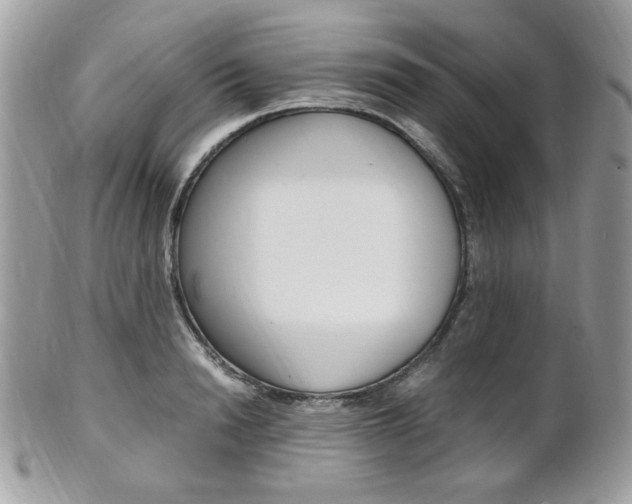 X0000101410846200807071005