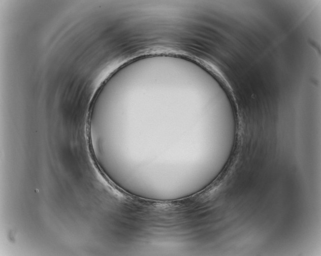 X0000101410847200807071005