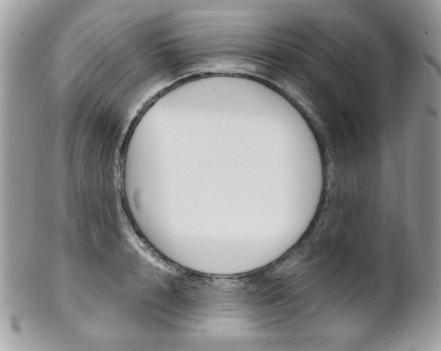 X0000101410848200807071005