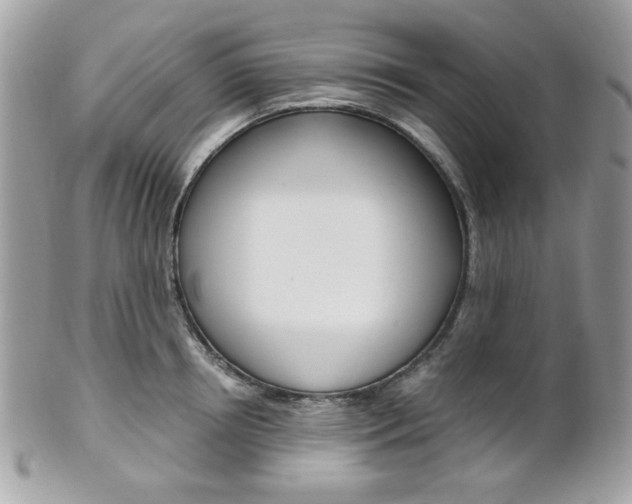 X0000101410850200807071005