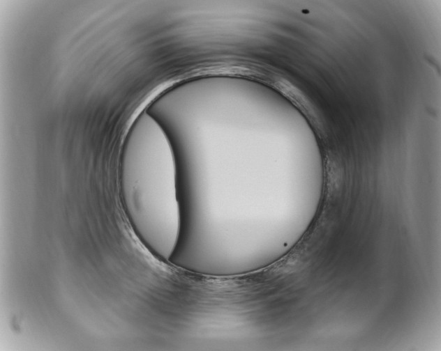 X0000101410852200807071005