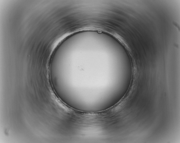 X0000101410854200807071005