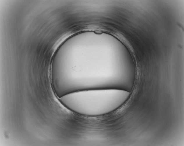 X0000101410855200807071005