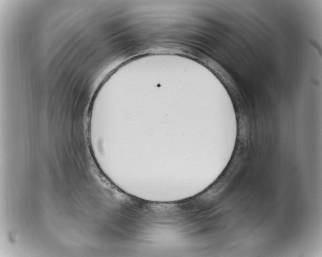 X0000101410856200807071005