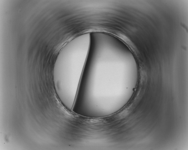 X0000101410857200807071005