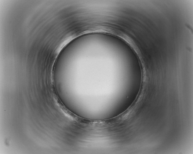 X0000101410858200807071005