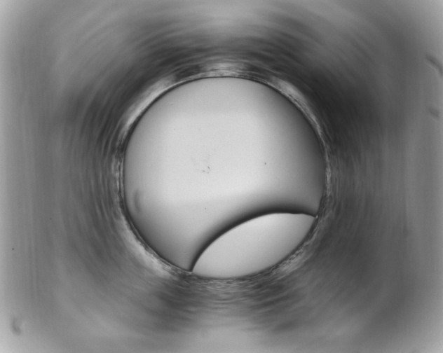 X0000101410859200807071005