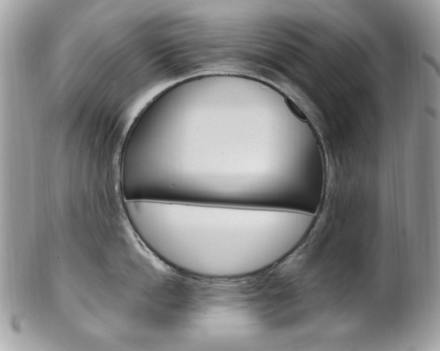X0000101410862200807071005